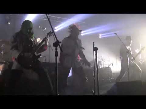 ŁEB PROSIAKA Live @ Zgrzyt