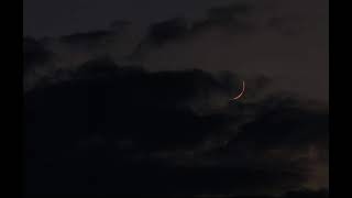 Tangerine Dream, Sorcerer, 1977