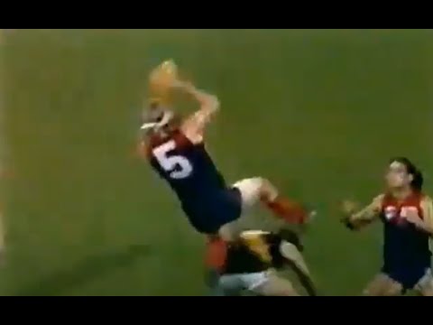 Garry Lyon and David Neitz MasterClass - Melbourne VS Richmond 1993