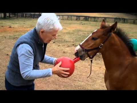 Donnerwetter Fritz 28 days old 9/18/11