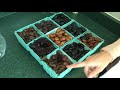 18 VARIETY of Fresh ORGANIC DATES From The Date People!!!