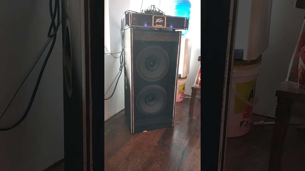 Test speaker 12 inch ADS 1250 Full Range