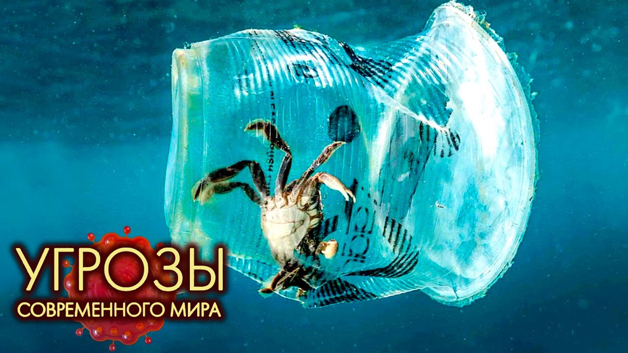 Пластик - Угрозы современного мира