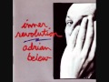Birds - Adrian Belew