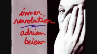 Birds - Adrian Belew