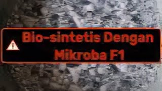 Download lagu Part 1: Cara Baru Bikin Pupuk Bio-sintetis, Hasil Instan 24 Jam! mp3 Download lagu Part 1: Cara Baru Bikin Pupuk Bio-sintetis, Hasil Instan 24 Jam! mp3