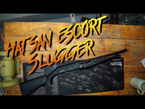 ESCORT SHOTGUNS | Shotgun Review | EARLY Goose Season | WATERFOWL