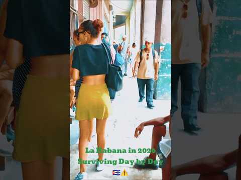 Surviving Havana Cuba in 2026 🇨🇺 #shorts