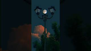 Download lagu Story wa kehadiran cinta mp3