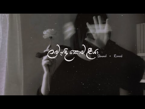 Labandi Komaliya - Slowed + Reverb + Lyrics ( ලබැඳි කොමළියා) | ‎‎@SachinBeatsOfficial
