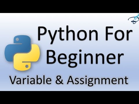 Python Tutorial For Beginners Variables And Assignment Operator 5