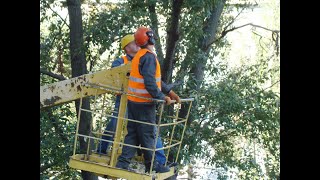 מי צריך לשלם על גיזום ענפים שמסתירים את השמש▪️הרב נחמנסון▪️(שטיינבאך שול. כפר חב"ד) (הרב יהודה לייב נחמנסון) - התמונה מוצגת ישירות מתוך אתר האינטרנט יוטיוב. זכויות היוצרים בתמונה שייכות ליוצרה. קישור קרדיט למקור התוכן נמצא בתוך דף הסרטון