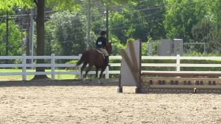 Horse show ventures 2013