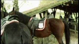 Sinovi atara - Ivica Brandibur Sinovi atara - Ivica Brandibur