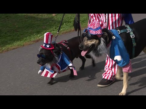 Seventh 'Howl-o-ween' Parade Thrills Pet Lovers in Scranton - YouTube