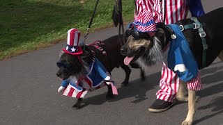 Seventh ‘Howl-o-ween’ Parade Thrills Pet Lovers in Scranton