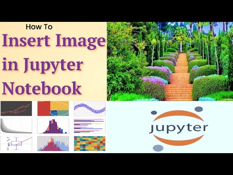 Data Analysis with Python using Pandas data frame Cars Dataset Project 1