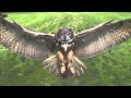 Lifehouse - Learn You Inside Out (Unofficial Music Video)
