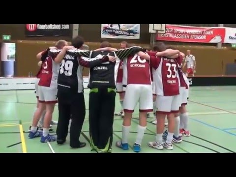 DM2015 - EmptyNetGoal und Führungstreffer