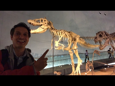 download lagu mp3 mp4 The Dinosaur Museum, download lagu The Dinosaur Museum gratis, unduh video klip The Dinosaur Museum