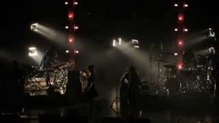 Angus &amp; Julia Stone - Crash &amp; Burn Live