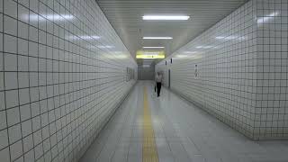 【2023/12/1】地下鉄の八番出口を見つけるホラゲー