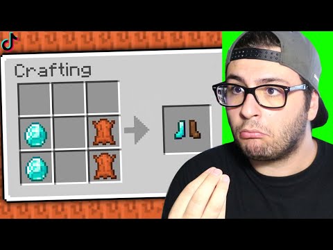 PROVO I TIK TOK  VIRALI RIMOSSI DA MINECRAFT