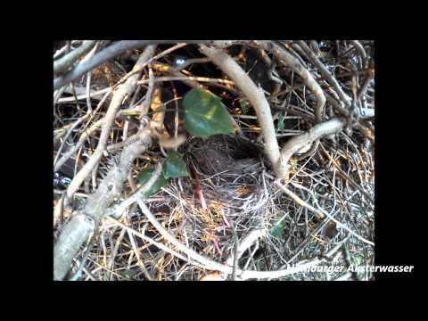 GoPro 4 Hero Black Zeitraffer  2015 Testlauf 01/042015