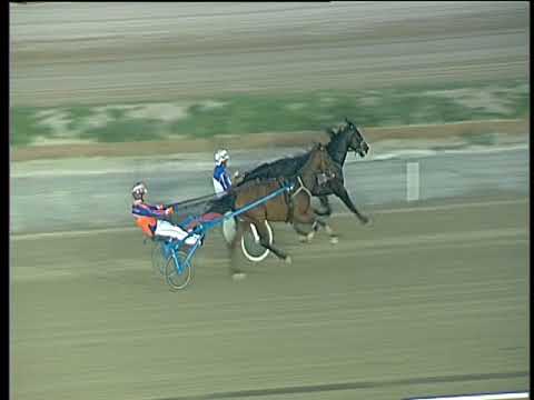 Trotto 29/09/2017 - 2ª prova di qualifica