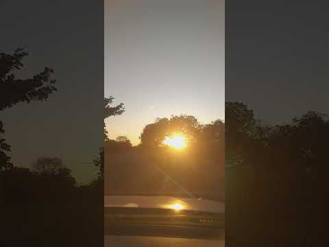 Elizeu Martins  Piauí #estrada