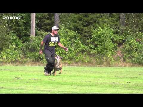 FCI NM IPO 2014 Kim Lyshaug - Brakeless Allie-Gator - B