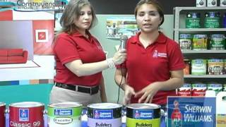 SHERWIN WILLIAMS PROBLEMAS CAUSAS Y SOLUCIONES PARTE 1
