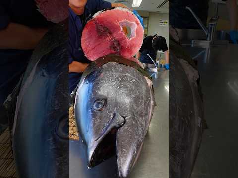 GIANT Tuna sushi rolls 🍣