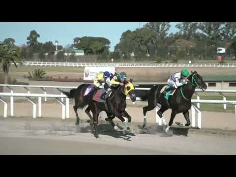 220708 c07 -  LITTLE CLOWN - HIPODROMO LAS PIEDRAS