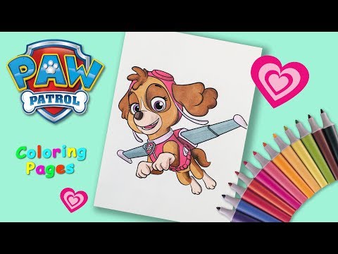 Skye Coloring Page. Paw patrol Coloring book. How to draw Paw Patrol Pups. Video