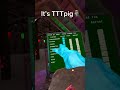 OMG TTT Pig Is In My Lobby Funny Gtag Gorillatag Tttpig