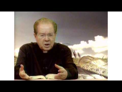 O Pão Nosso  24 Agosto 2016    -    Pe. F. C. Cardoso