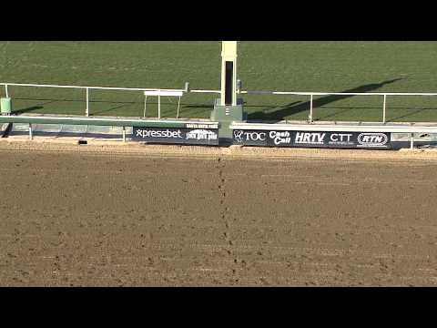 Cal-Bred Maui Mark wins the Donald Valpredo Cal Cup Sprint