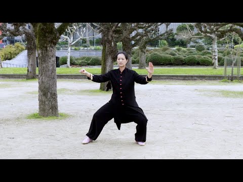 Chen-Style 36 Form – Full Demonstration – Front View |  陳式太極拳三十六式 全套正面演練