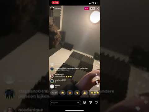 Hmizo x Mula b      GELEKT...