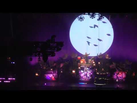 Silbermond Schritte Live Tour Konzert