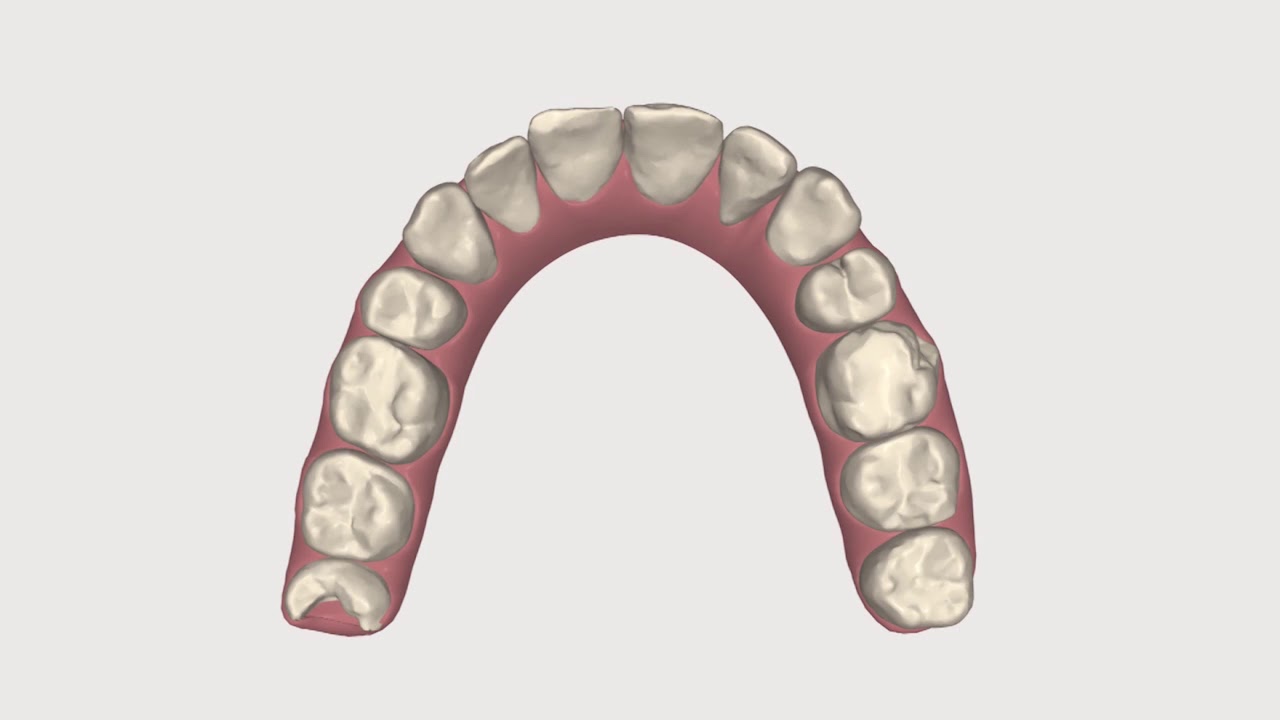 Vicente Gandía Aguiló-14