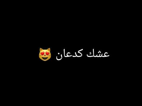 شاشه سوداء مزه مصريه محمد السالم