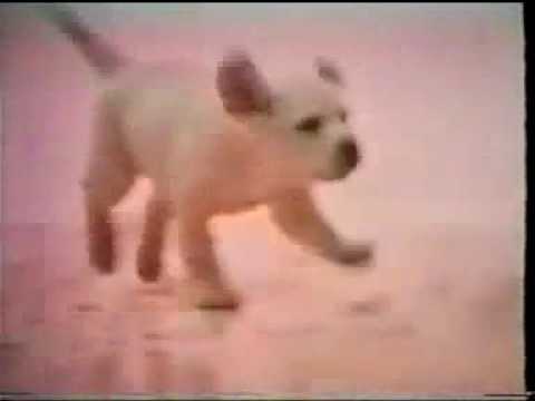 LWT Adverts, 24th October 1981 1   YouTube