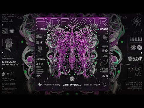 Endeavour - Millennium