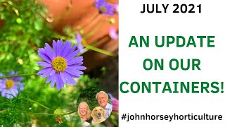 A SUMMER UPDATE ON OUR CONTAINER POTS - JULY 2021