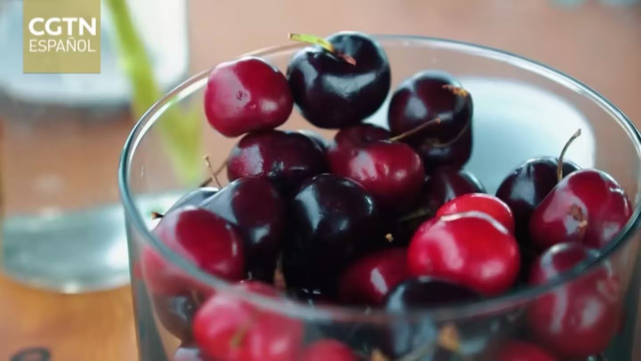 Cerezas chilenas conquistan China: 90 % de las cerezas chilenas son exportadas al país asiático