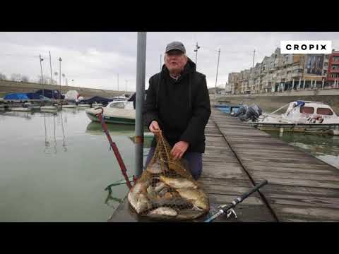 Umirovljenik Franjo Miložić i drugi ribiči u Zimskoj luci pecaju bijelu ribu Ploticu koje zimi i