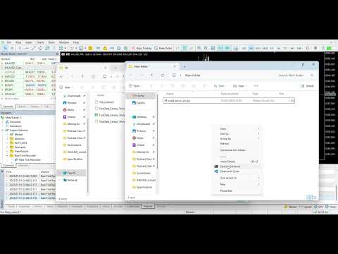Video Raw Tick Recorder MT4