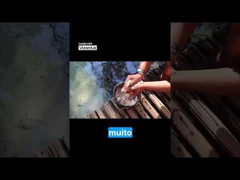 Brotas  Aventura e Areia que Canta em SP